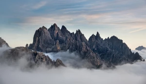 Czy opłaca się zmienić prawo?